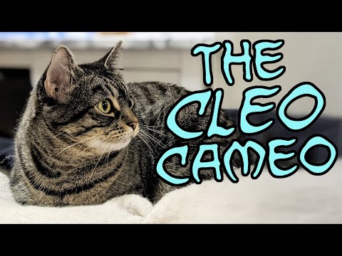 The Cleo Cameo