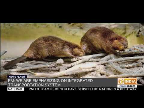 Building Blocks of Bharat | 07.09.2019 |