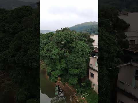 Ponte da divisa Rio x Minas em Além Paraíba MG #cicloturismo