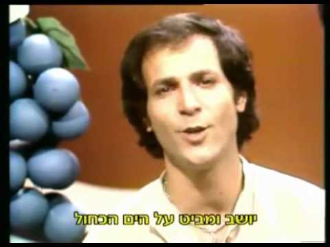 Video thumbnail for Tulik - טוליק