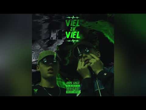 Liaze feat. Dane - „Viel zu Viel“ (Official Audio)