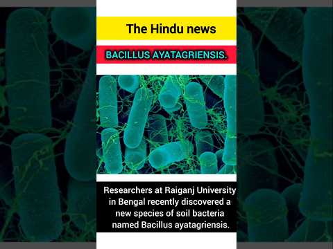 02-07-2025 🦠BACILLUS AYATAGRIENSIS#raiganjuniversity#researchers#currentaffairs#prelims