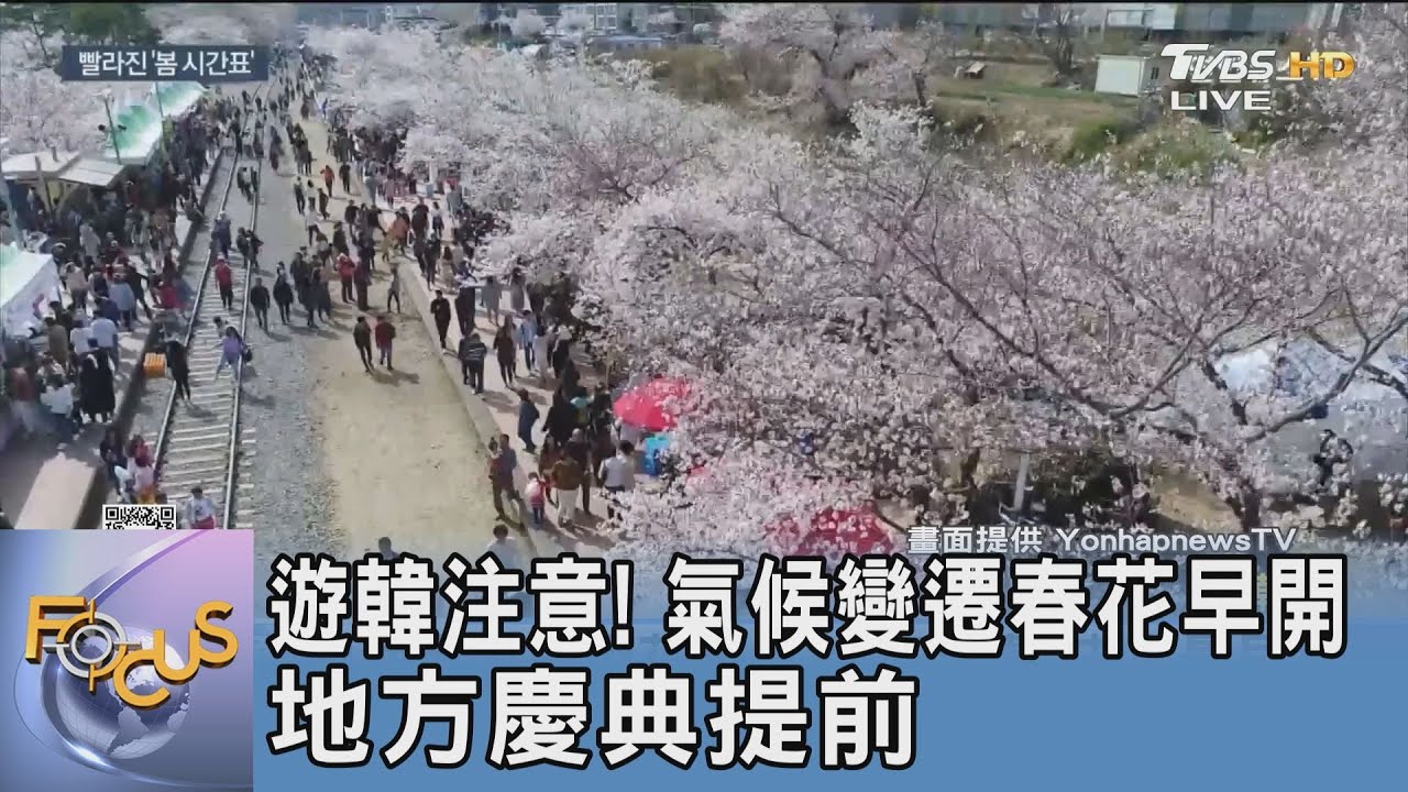 遊韓注意!氣候變遷春花早開地方慶典提前