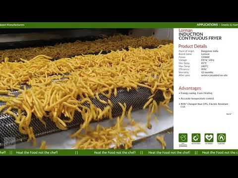 Continuous Potato Chips Fryer