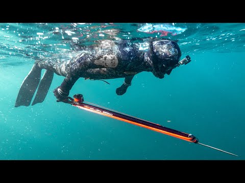Why you can't hold your breath longer when spearfishing...