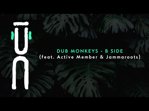 Dub Monkeys - B Side (feat. Active Member & Jammaroots) Official Video
