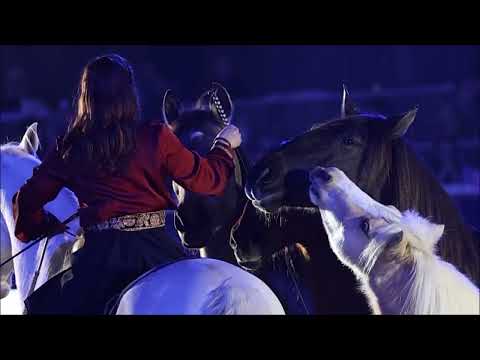 Senn Gilliane Horse Show 2025