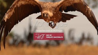 Parque Nacional de Monfragüe