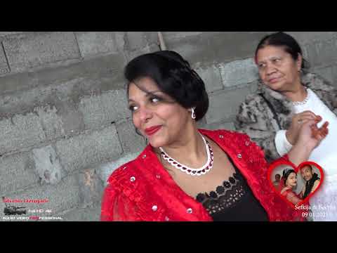 bijav Sefkija & Fekrija HD 2 studio Dzogani 4K ULTRA HD PRO