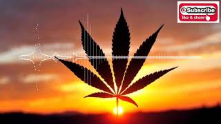 Download lagu lagu selinting ganja ditangan-punk rock jalanan||@comeltv8438 mp3