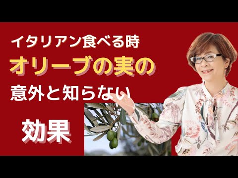 猫はオリーブを食べても大丈夫?