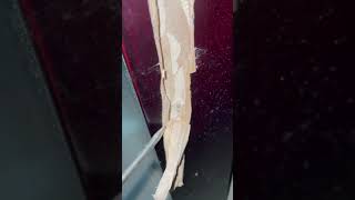 [問卦] 桌腳出現吱吱聲後續怎麼辦