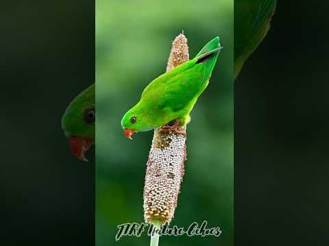 Norway 4K • Scenic Relaxation Film with Peaceful Relaxing Music | Nature Video Ultra HD Dolby Vision