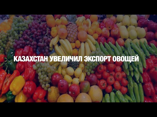 Казахстан увеличил экспорт овощей