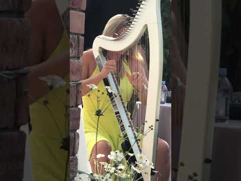 Promotional video thumbnail 1 for Harmonious Harp Events