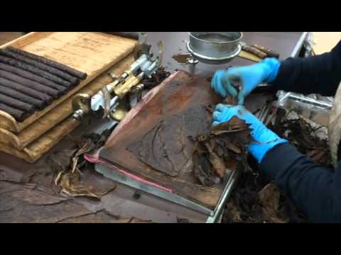 Manifatture Sigaro Toscano - Lucca 17.03.2016 - Francesco Subioli