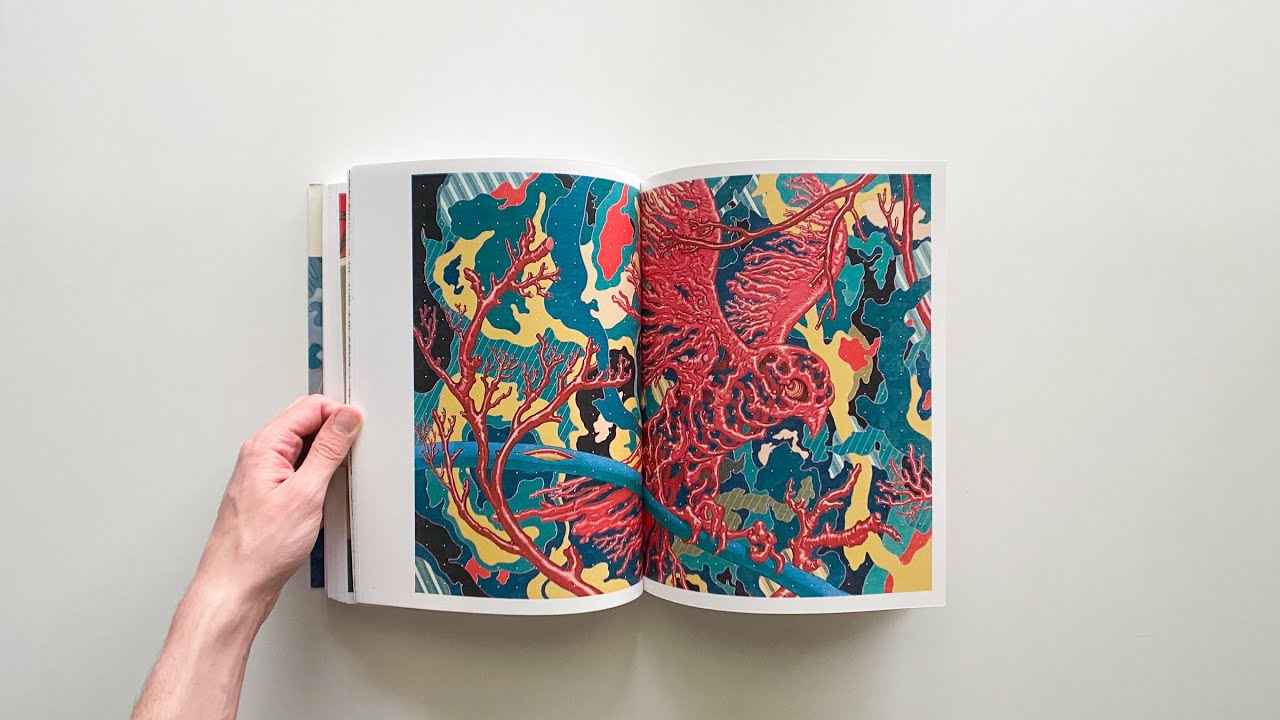 Pareidolia | James Jean | Flipthrough