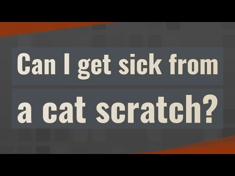 Can I get sick from a cat scratch?