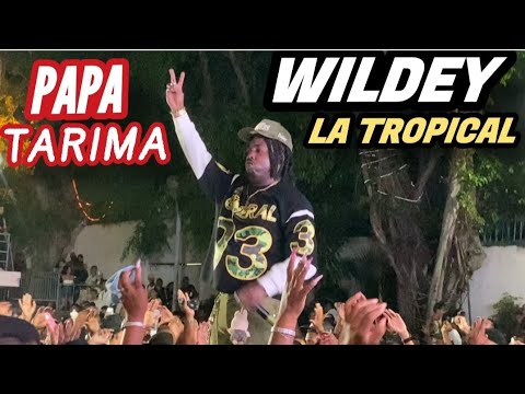 Wildey concert at the Tropical 27/09/2025