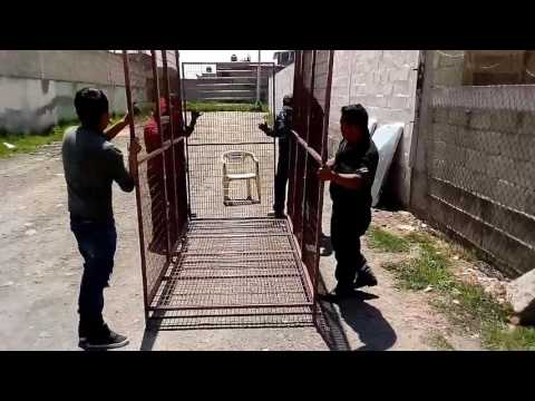 Guacamayera modelo. Pancho