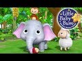 Animals Feeding Song Nursery Rhymes For Babies By LittleBabyBum ABCs And 123s