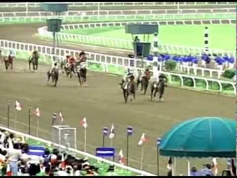 Clásico del Caribe 1999 - Cortisol (PAN)