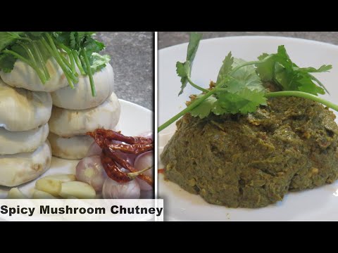 download lagu mp3 mp4 Mushroom And Onion Chutney, download lagu Mushroom And Onion Chutney gratis, unduh video klip Mushroom And Onion Chutney