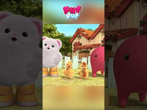 Mac mac mac - Rățuștele  | Cântece Copii #pufpuf