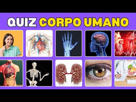 HUMAN BODY QUIZ | Guess the 50 answers about the human body