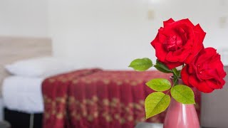 Rose Court Motel, Rotorua, New Zealand