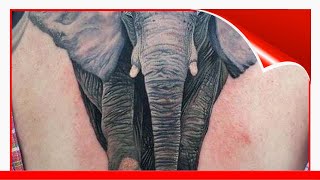 50+ Geometric Elephant Tattoos Designs & Ideas (2020) With Meaning !