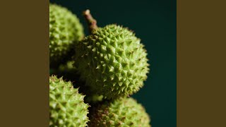 Download lagu Hati Terapung Jalan mp3