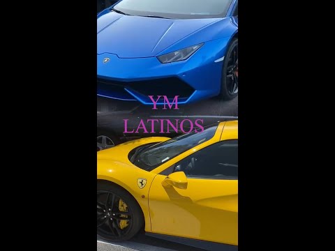 YM - LATINOS (4NG)