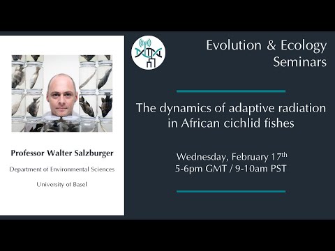 [Walter Salzburger] The dynamics of adaptive radiation in African cichlid fishes