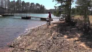 Raffi Board & Train Day 1: Muzzle Training, Let's Go, Recall