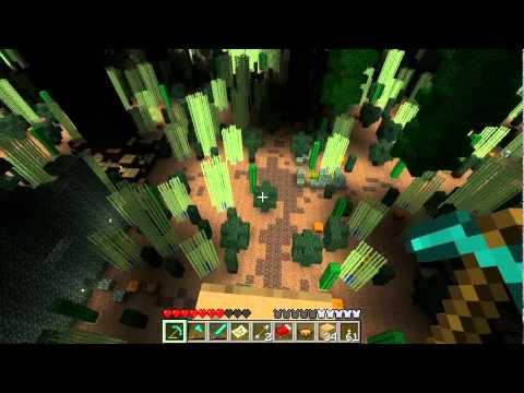 Canopy Carnage - Episode 15: Finale