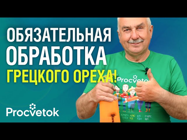 Грецкий орех засыплет урожаем, если обрезать и обработать его осенью!