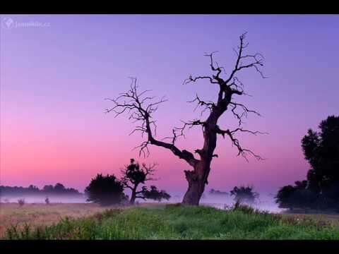 Miramare - Miramare: Mlha na lúkách / Mist on meadows