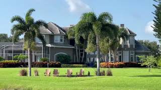 Fox Tail and Royal Palms