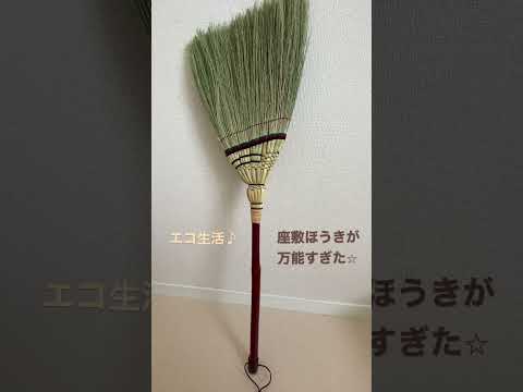 園芸 スコッチほうき