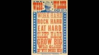 Webb Wilder - Fall In Place