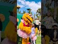Dancing With Zoe Is The Coolest Thing I Did In Sesame Place I ️ Her