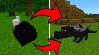 How To Hatch the Ender Dragon Egg in Minecraft Pocket Edition (1.0+)
