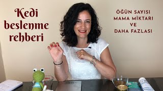 Kedi beslenme rehberi, kedimize mamasını verirken bilinmesi gereken her şey