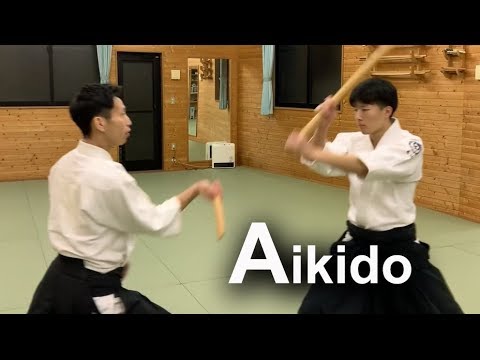 Aikido : Dynamic Smooth Technical - Shirakawa Ryuji shihan