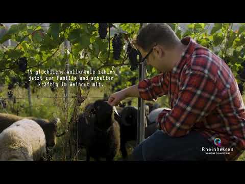 Erfolgsgeschichte Familie Buscher