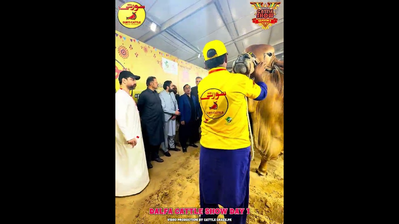 Surti Cattle Farm Opening