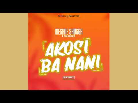 Megane shugga - AKOSI BA NANI (audio officiel prod by NK PROD and LA TEAM RECORD)