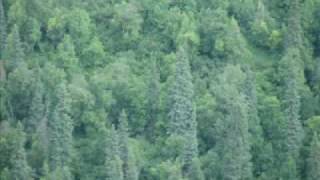 Alaska, The American Child