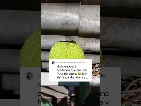 yo encontré esta fruta en minaclavero cordoba